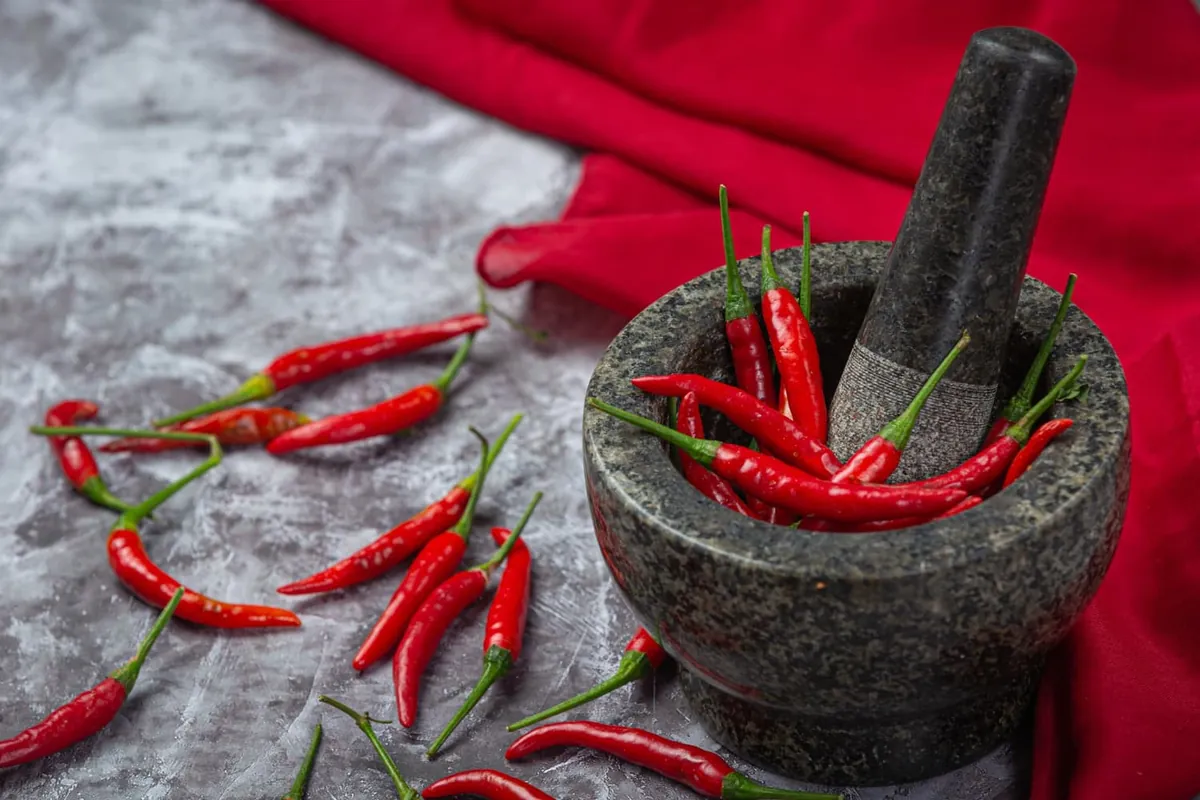 Piments rouges séchés dans un mortier de pierre.
