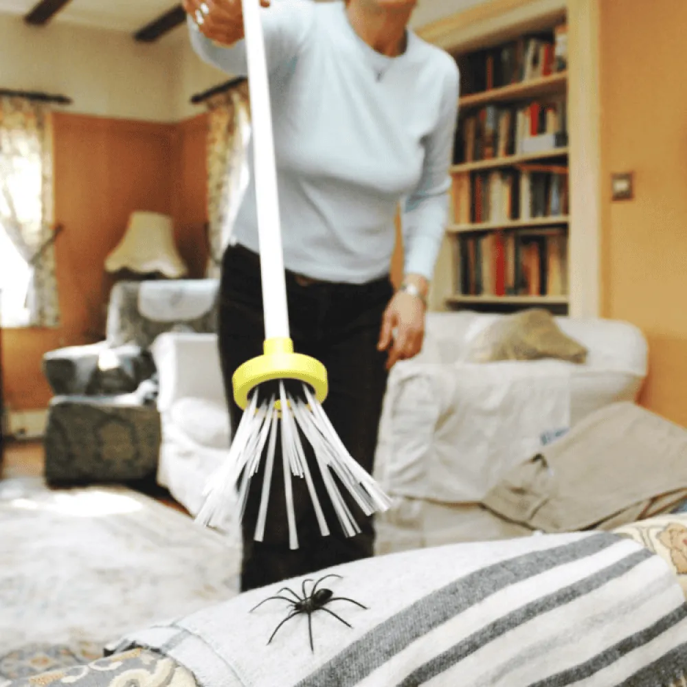 Personne tenant un spider catcher pour attraper un araignée